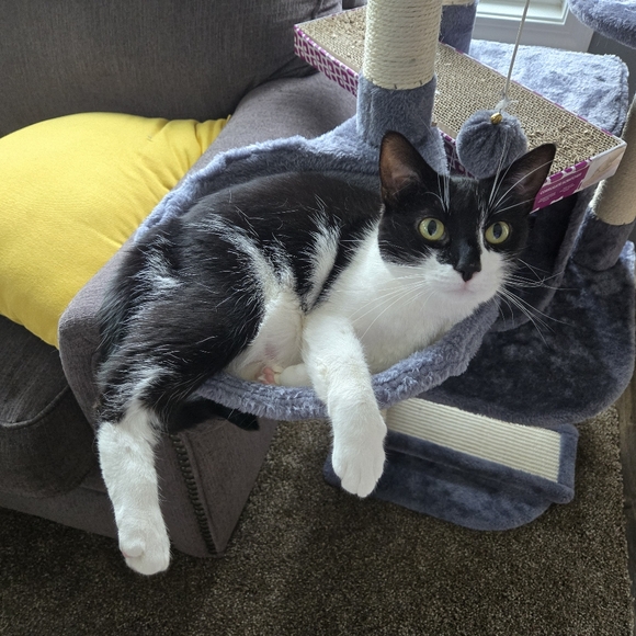 Meet your Posher, Brooke - Picture 6 of 9